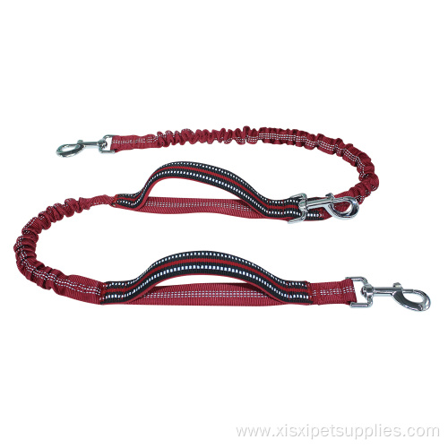 Eco-Friendly Dog Leash with heavy duty hook